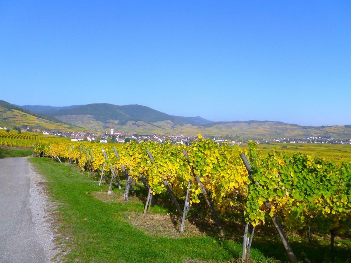 Bed and Breakfast Les Lilas Ammerschwihr Exterior foto